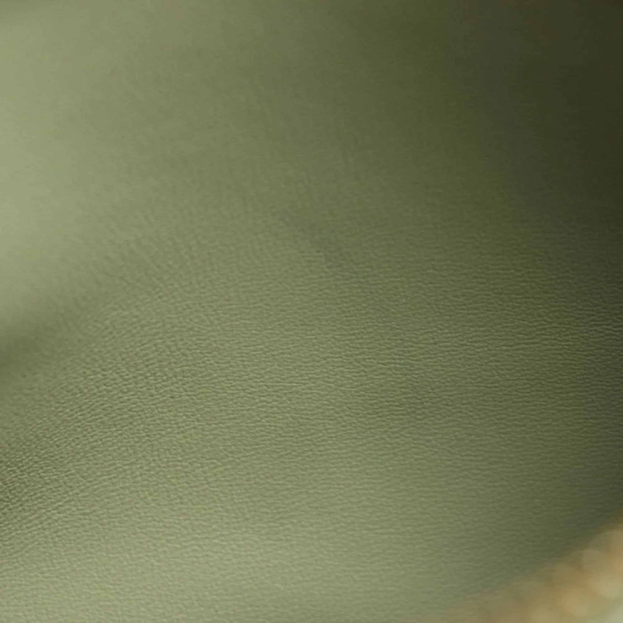 Bottega Veneta Arco Green Leather Bag