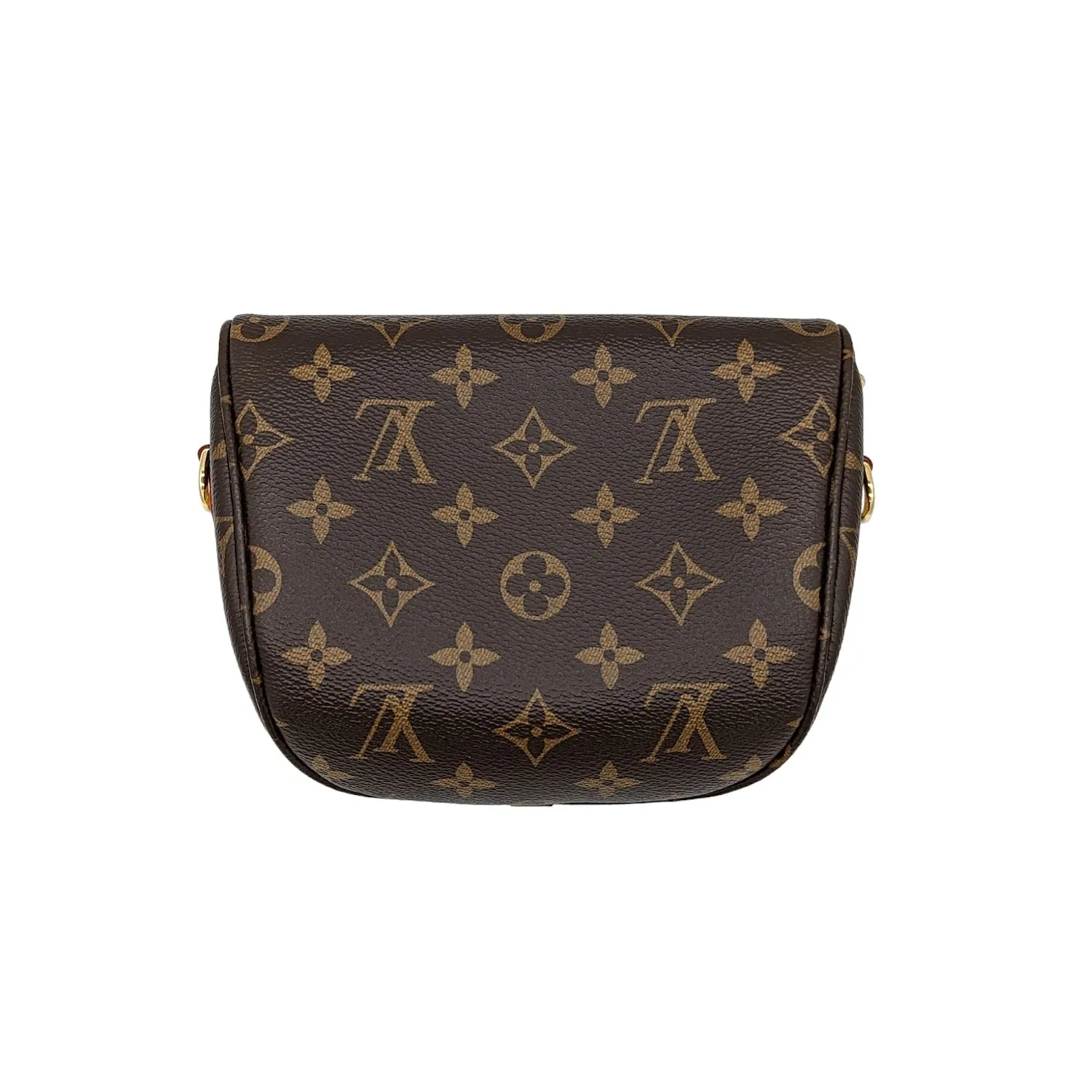 Louis Vuitton Monogram Mini Bumbag Crossbody