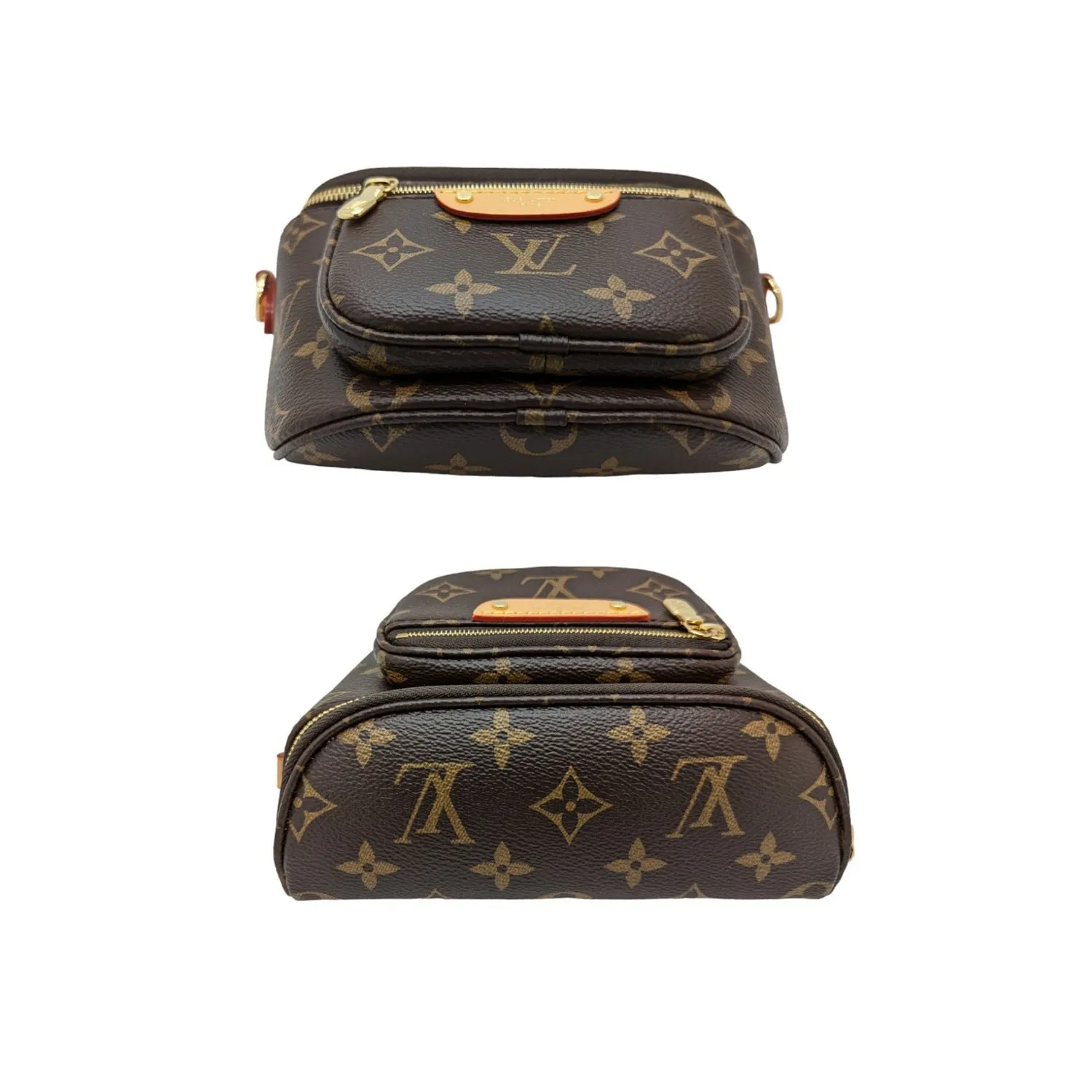Louis Vuitton Monogram Mini Bumbag Crossbody